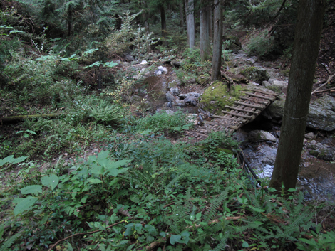 20151021hike (385)